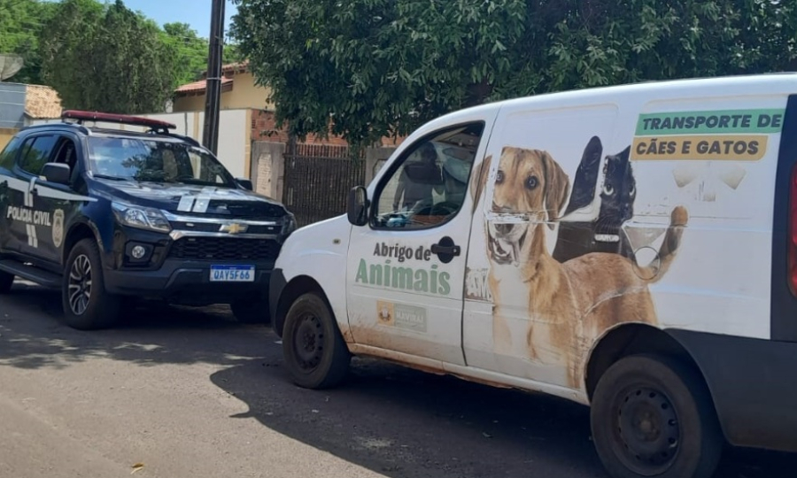 Animal é resgatado e o prefeito quer Centro de Zoonozes