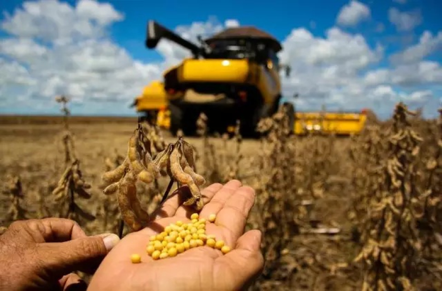 Colheita da soja alcança a metade da área plantada   